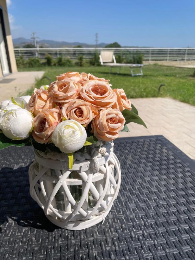 Hyele Accommodation Experience Casal Velino Esterno foto